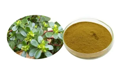 Bacopa Monnieri ekstrakt 20–50% bakusiidid
