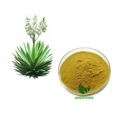 Yucca ekstrakt
